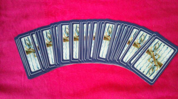 Back of Micro Whisperer cards divination deck