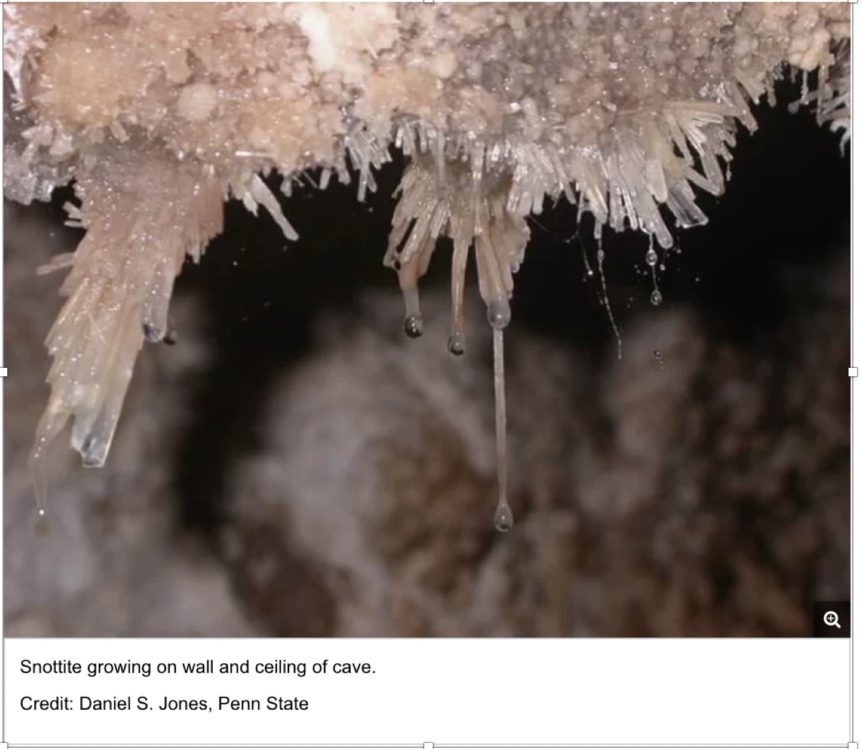 Cave-Making Microbes
