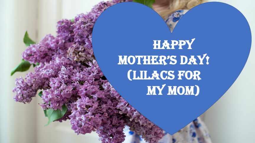 Lilacs4Mom