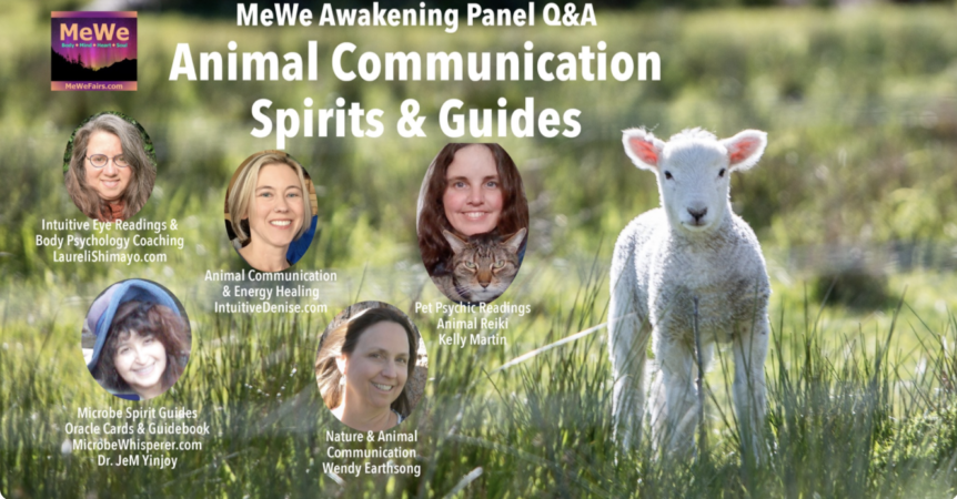 Animal Spirit Guide Panel